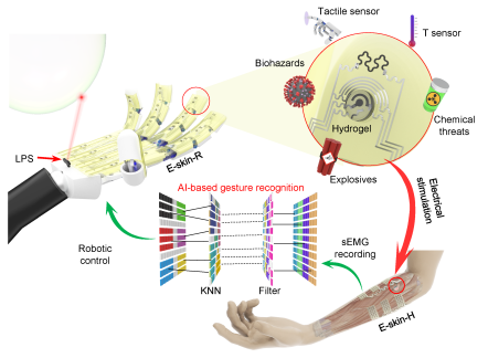 {{brizy_dc_image_alt imageSrc=