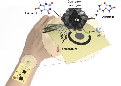 {{brizy_dc_image_alt imageSrc=